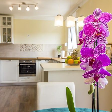 Appartamento Apartman Maxim Pola Esterno foto