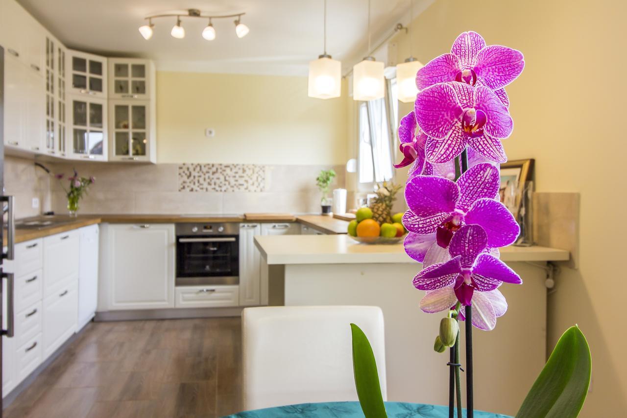 Appartamento Apartman Maxim Pola Esterno foto